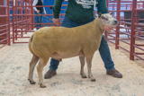 Lot 108 Sold for £800 from R & M Paterson Upper Auchenlay